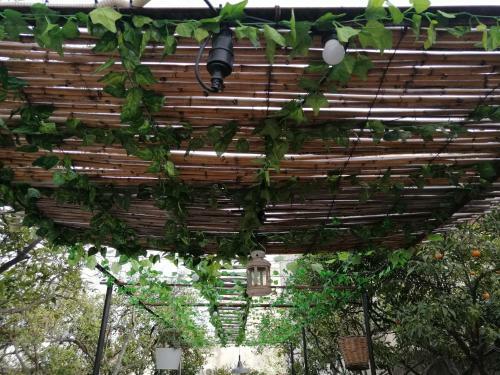 Hostal Sud Est Bed And Breakfast Salento