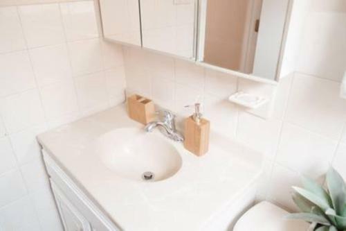 Beautiful Home! 25 Minutes To Downtown Chicago