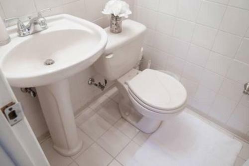 Beautiful Home! 25 Minutes To Downtown Chicago