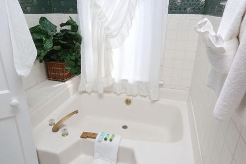 Bed & Breakfast Historic Sevilla House (adults Only)