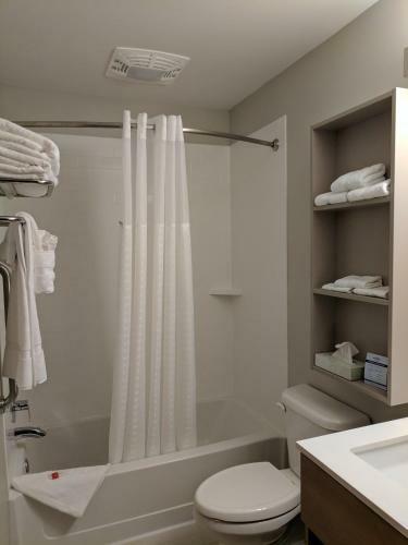 Hotel Microtel Inn & Suites By Wyndham Clarion