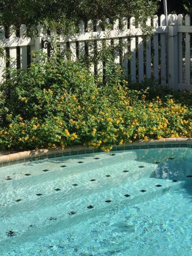 Bed & Breakfast The Plantation House Boutique Inn