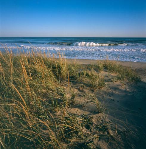 Hotel Windward Shores