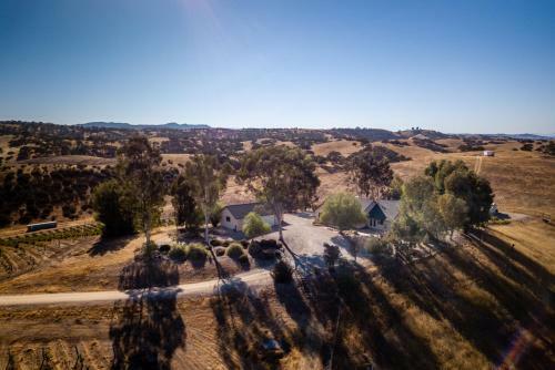 Petrae Vineyard
