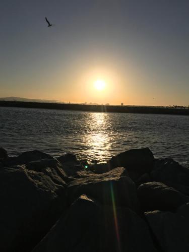 "california Dreamin'