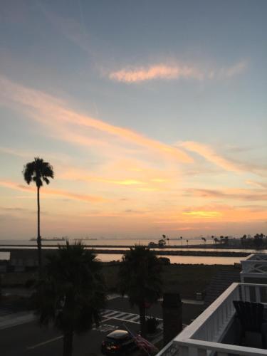 "california Dreamin'