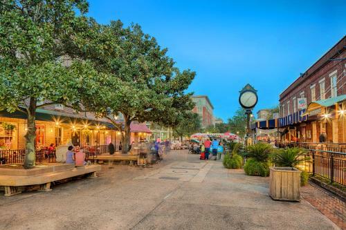 Savannah Serendipity