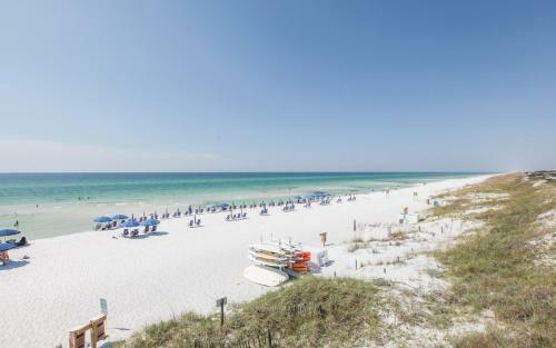 Seas The Day