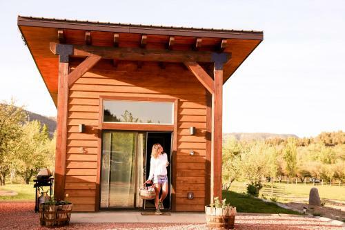 Apple Hollow Cabins