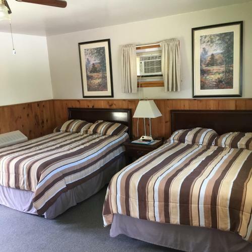 Motel The Forest Lodge And Campground