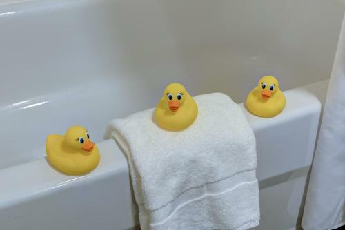 The Garrison Hotel & Suites Dover-durham, Ascend Hotel Collection