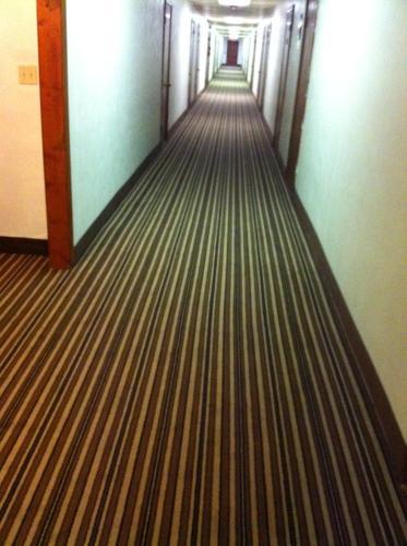 Motel Budget Inn Of America
