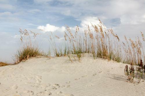 Catesby's Bluff 2240