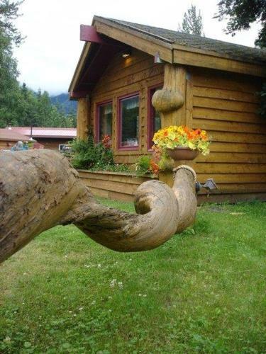 Bear Creek Lodge Alaska