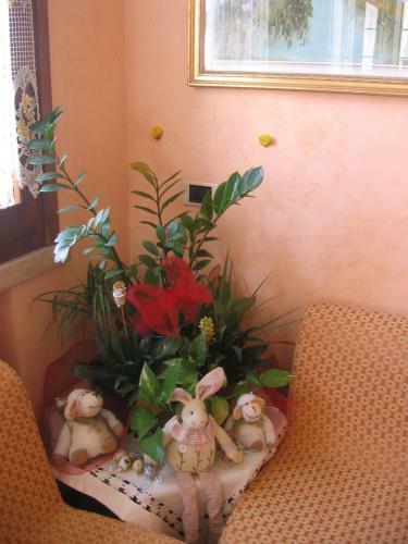 Hotel Paradiso