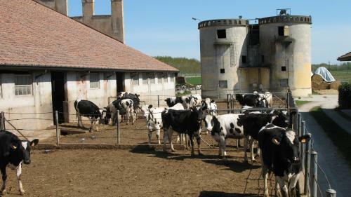 Agroturismo Agriturismo Corte Virgiliana