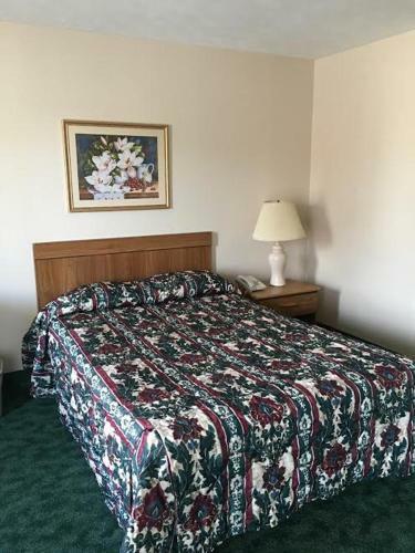 Motel Medina Inn