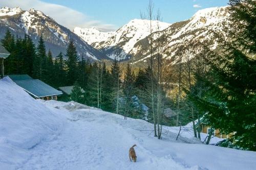 Hyak Duplex Cabin