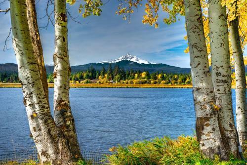 Black Butte Ranch: Partridge Foot Cabin Lot #rr83