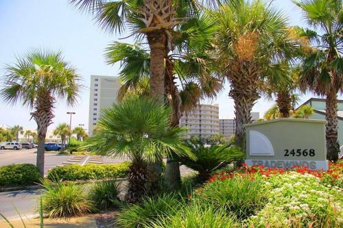 Tradewinds 602