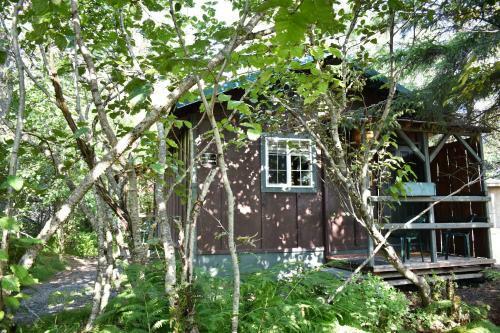 Exit Glacier Lodge