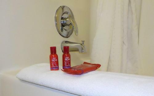 Surestay Plus Hotel By Best Western Jacksonville