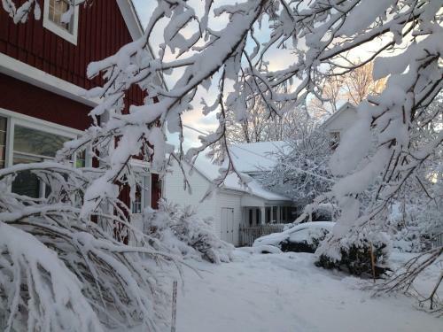 Timber Post Bed & Breakfast