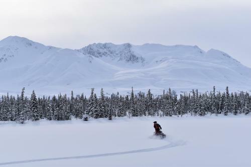 Backwoods Lodge