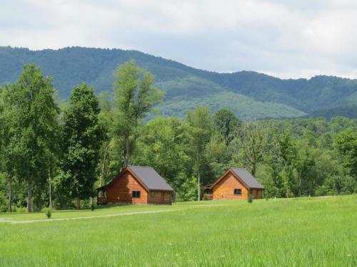 Lodge Southern Comfort Lakeside Cabin Resort