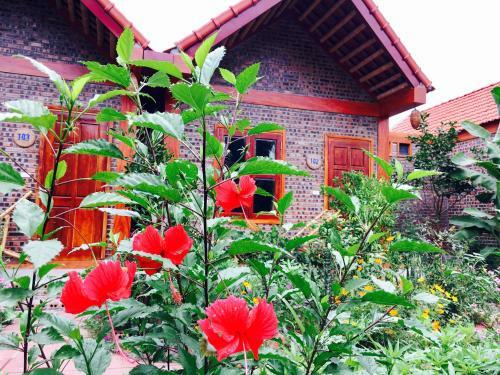 Tam Coc Friendly Homestay