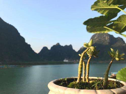 Lodge Phong Nha Coco House