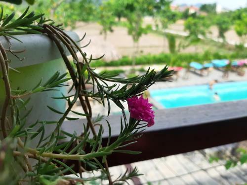 Sy's Homestay