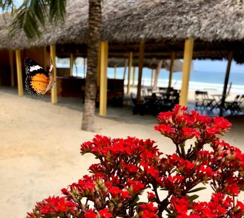 Ocean Beach Bungalows & Hostel