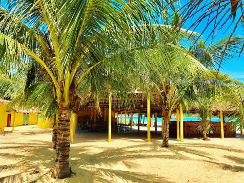 Ocean Beach Bungalows & Hostel
