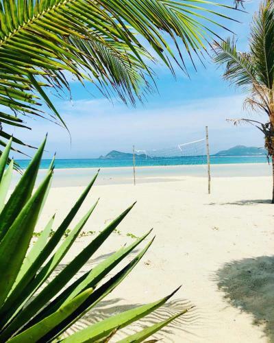 Ocean Beach Bungalows & Hostel