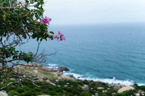 Apartamento Lily Homestay Phan Rang - Seaview Appartment