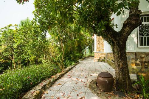 Lodge The Sun Homestay S�c S?n
