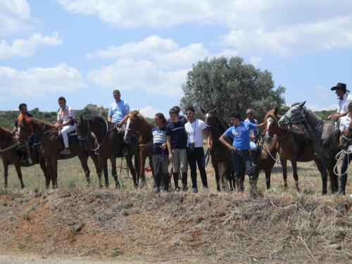 Agroturismo Masseria Cielogreco