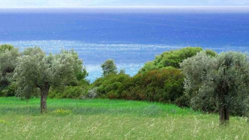 Agroturismo Masseria Cielogreco