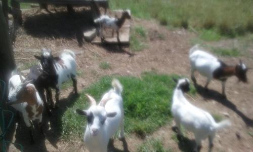 Agroturismo Arratzain