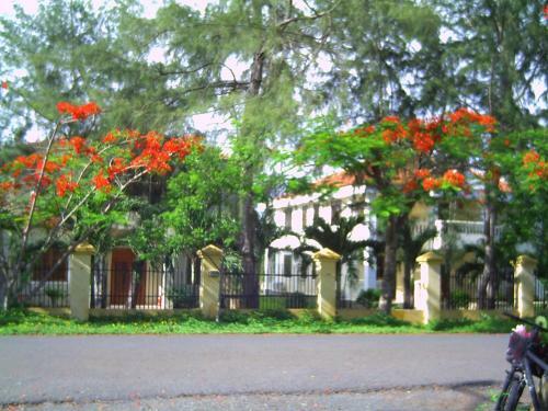 Hotel River Ray Estates Resort