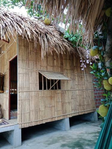 Cuc Phuong Hao Tham Homestay Hotel