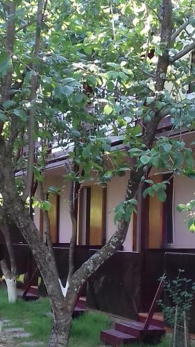 Hostal Guest House Kamelia