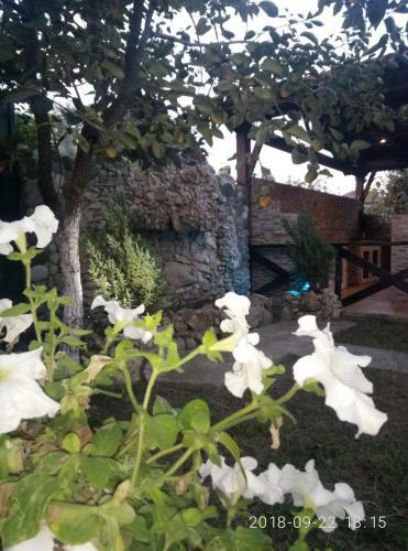 Hostal Guest House Mihalych
