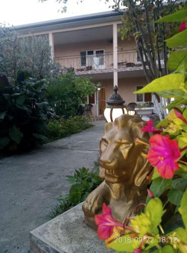 Hostal Guest House Mihalych