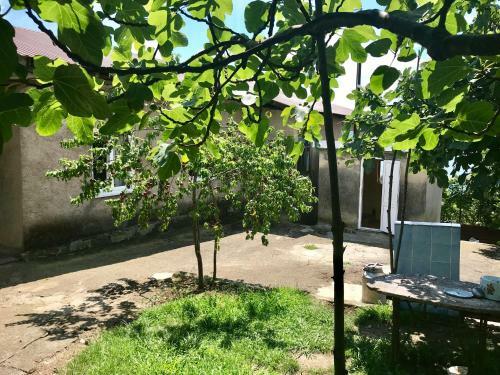 Guest-house Elona