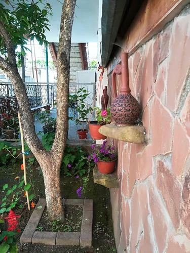 Hostal Chastnyi Dom