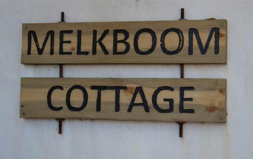 Melkboom