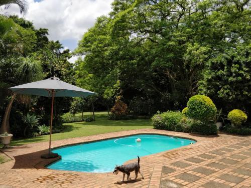 Bed & Breakfast Mtuba Manor Guest House