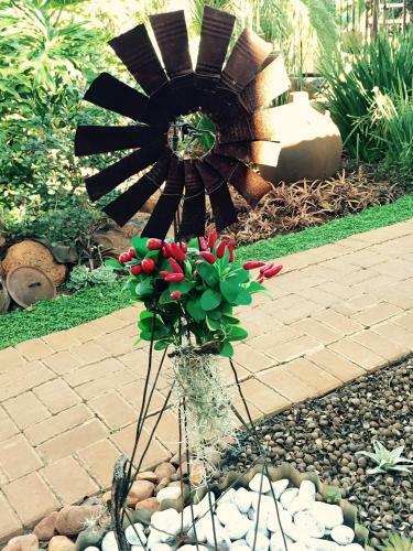 Hostal Africas Eden Guesthouse